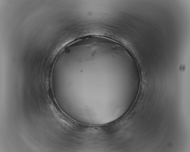 X0000111240386200907091405