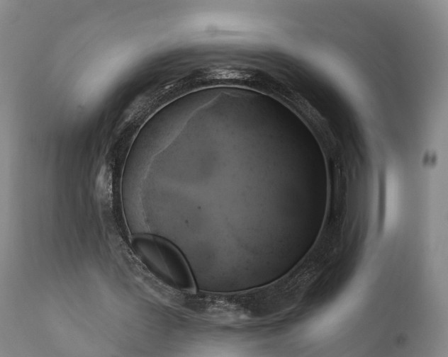 X0000111240387200907091405