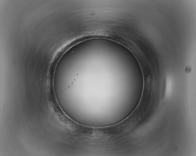 X0000111240388200907091405