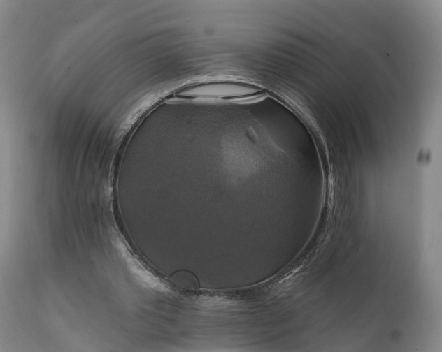 X0000111240389200907091404