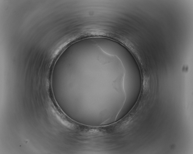 X0000111240390200907091404