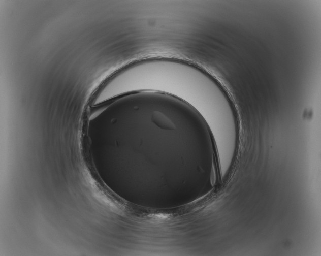 X0000111240391200907091404