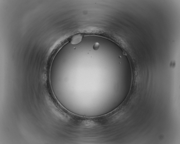 X0000111240392200907091404