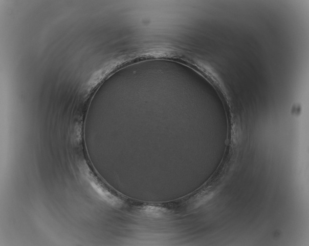 X0000111240393200907091404