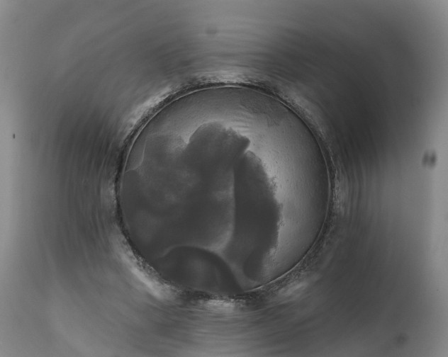 X0000111240394200907091404