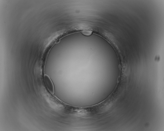 X0000111240395200907091404