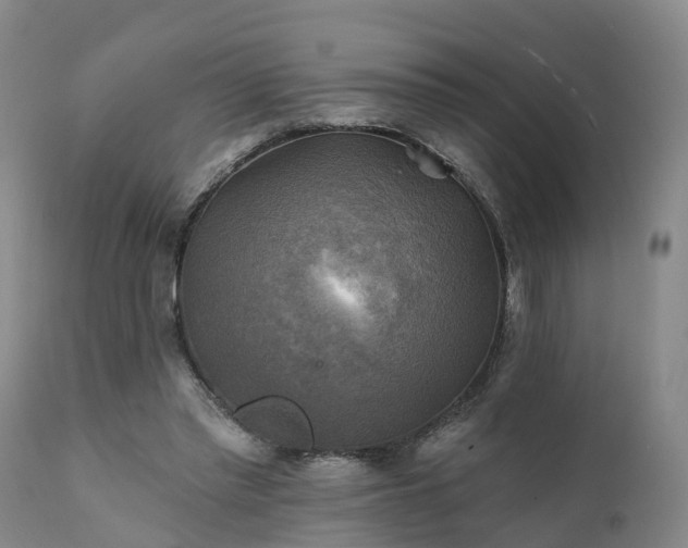 X0000111240397200907091404