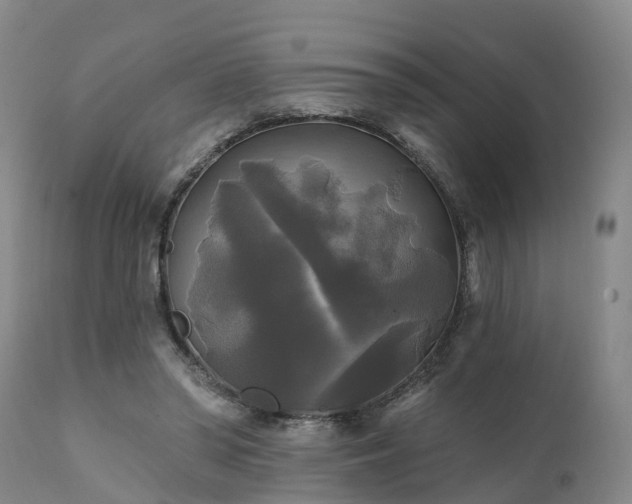 X0000111240398200907091404