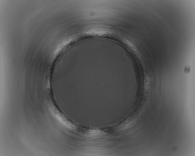 X0000111240399200907091404