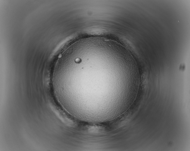 X0000111240400200907091404