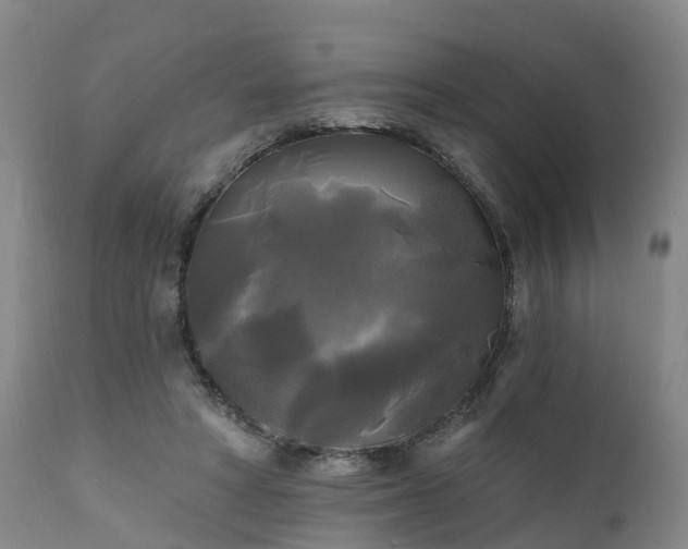 X0000111240402200907091404