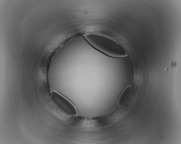 X0000111240403200907091404