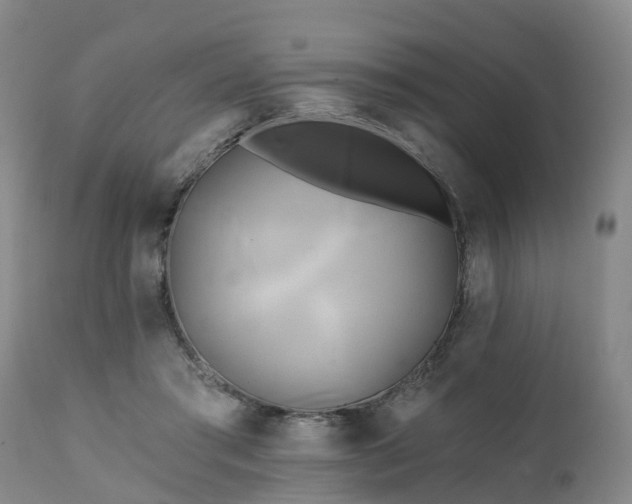 X0000111240405200907091404