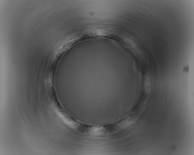 X0000111240410200907091404