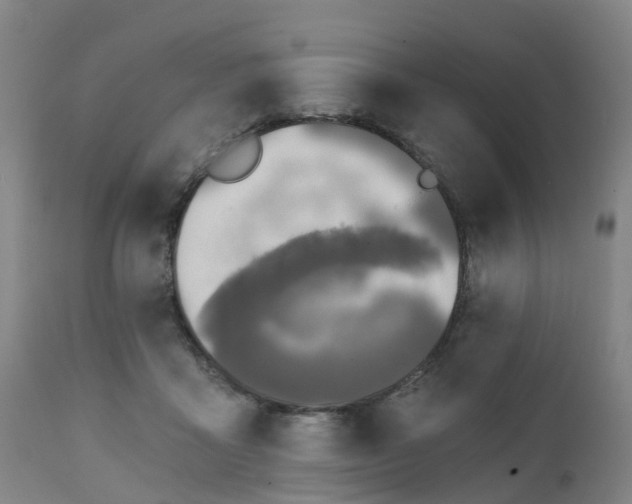 X0000111240411200907091404