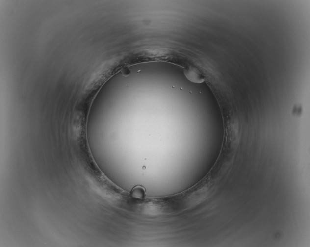 X0000111240412200907091404