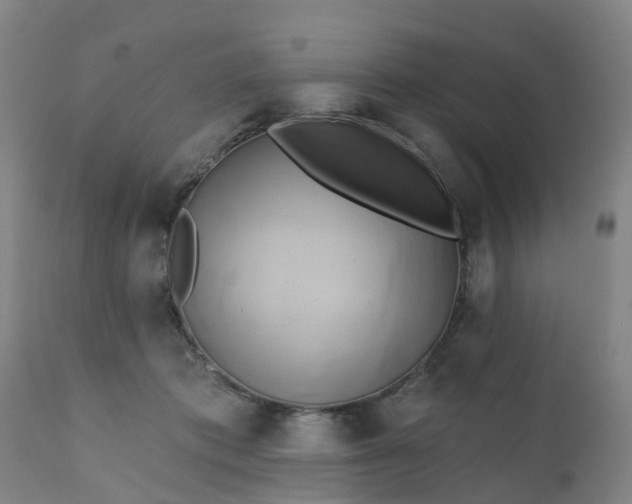 X0000111240413200907091404