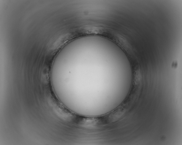 X0000111240414200907091404