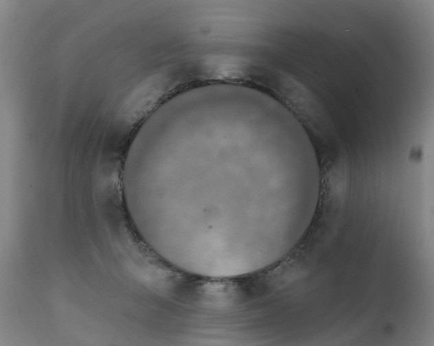 X0000111240415200907091404