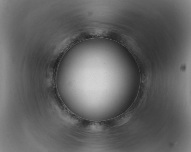 X0000111240416200907091404