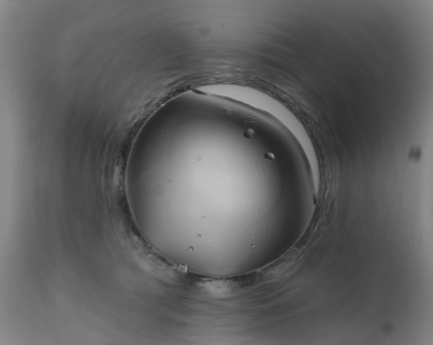 X0000111240417200907091404