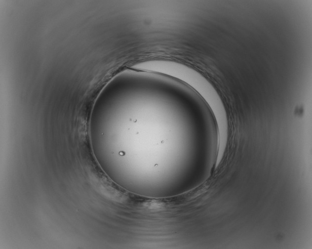 X0000111240419200907091404