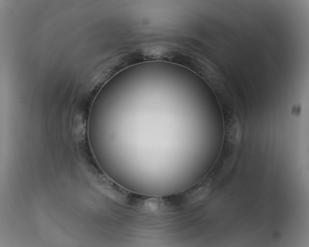 X0000111240420200907091404