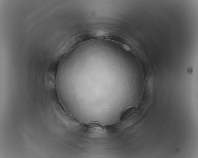 X0000111240421200907091404