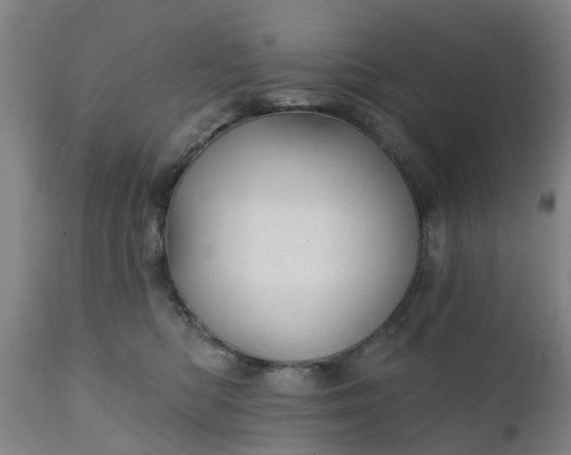 X0000111240422200907091404