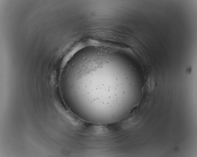 X0000111240424200907091404