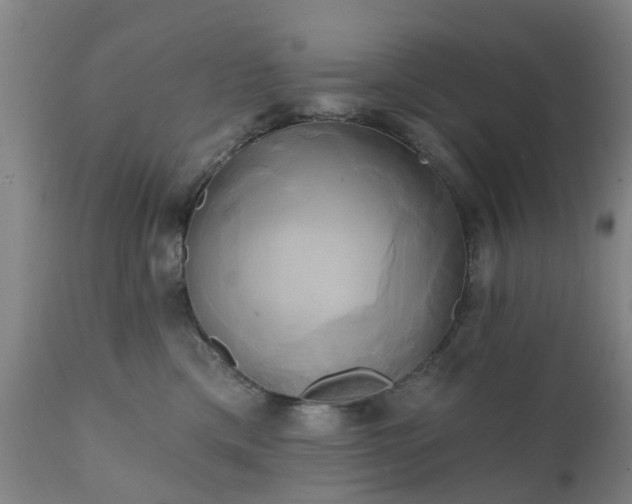 X0000111240425200907091404