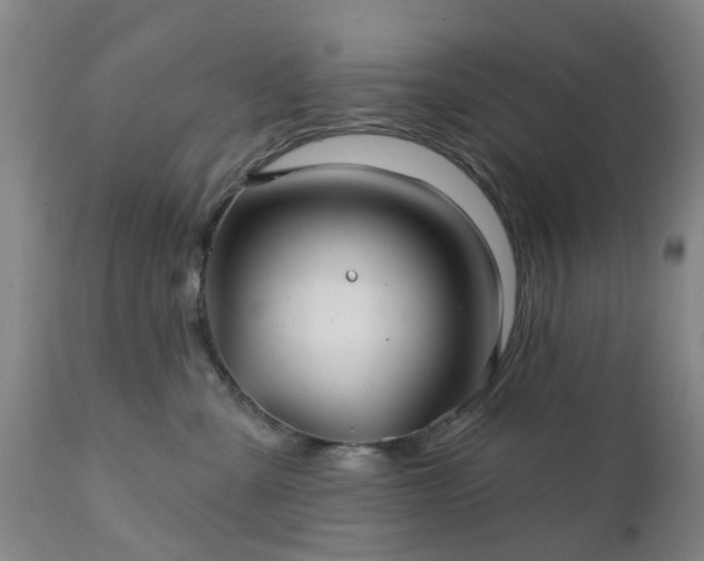 X0000111240427200907091404