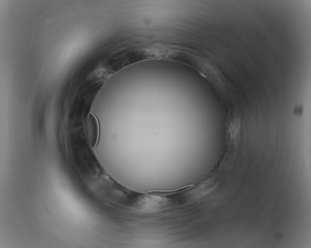 X0000111240429200907091404