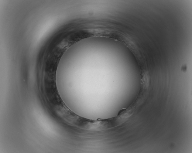 X0000111240430200907091404