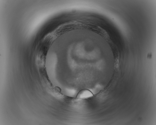 X0000111240431200907091404