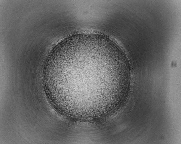 X0000111240433200907091403