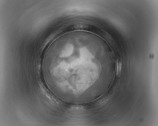 X0000111240435200907091403