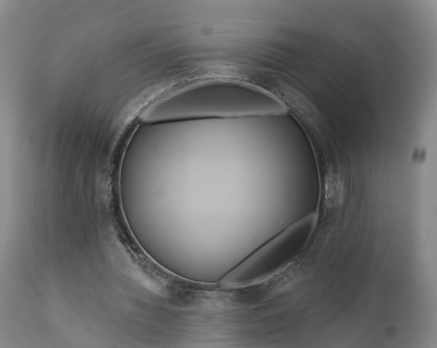 X0000111240436200907091403