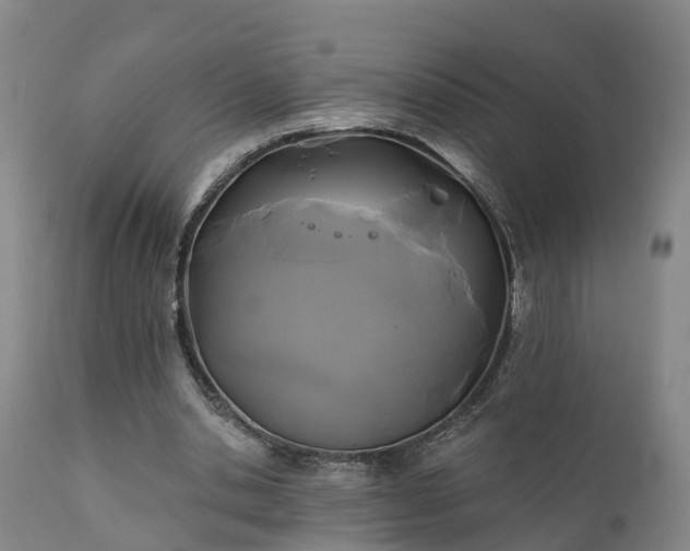 X0000111240438200907091403