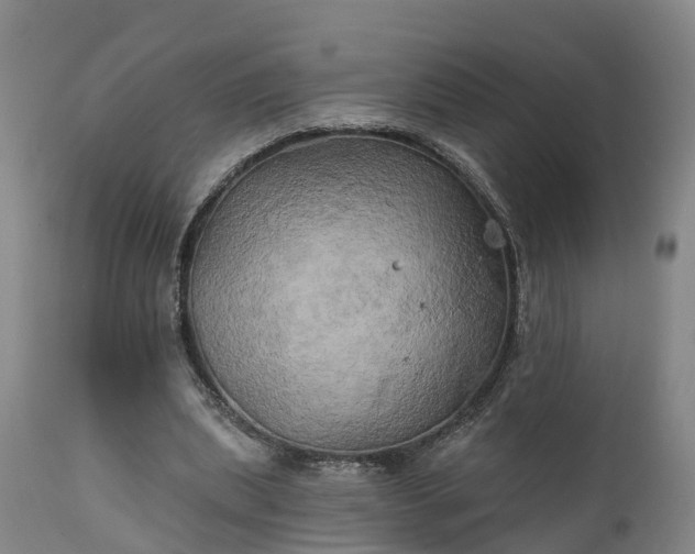 X0000111240439200907091403