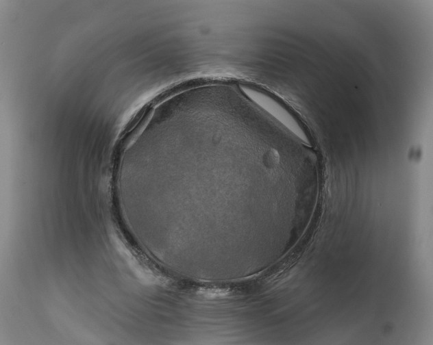 X0000111240440200907091403