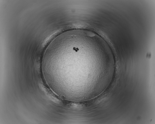 X0000111240442200907091403