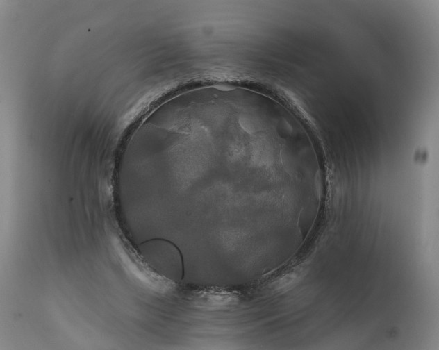 X0000111240443200907091403