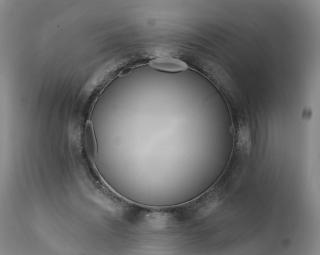 X0000111240444200907091403