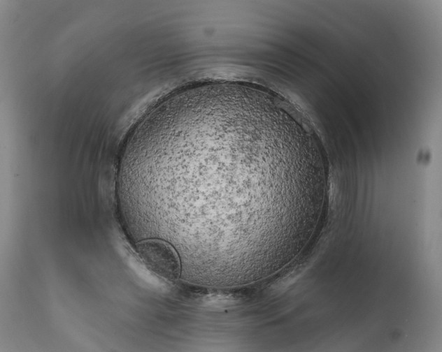 X0000111240445200907091403