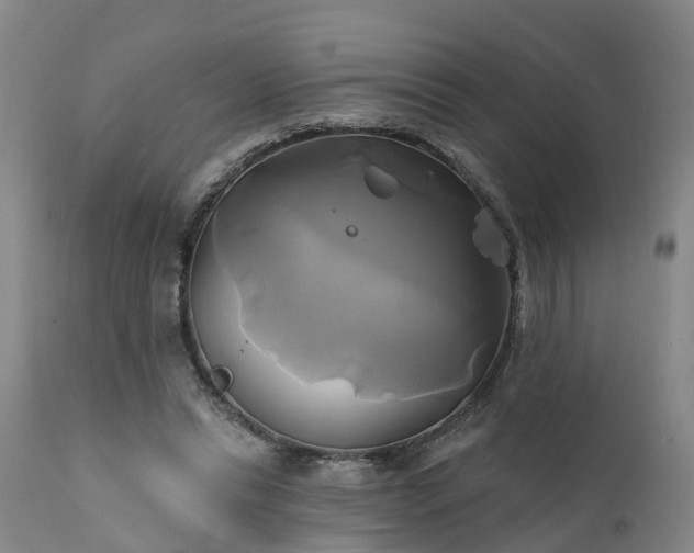 X0000111240446200907091403