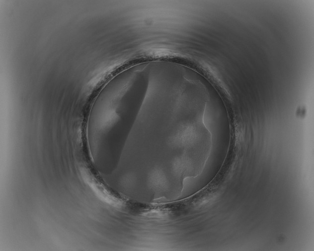 X0000111240447200907091403