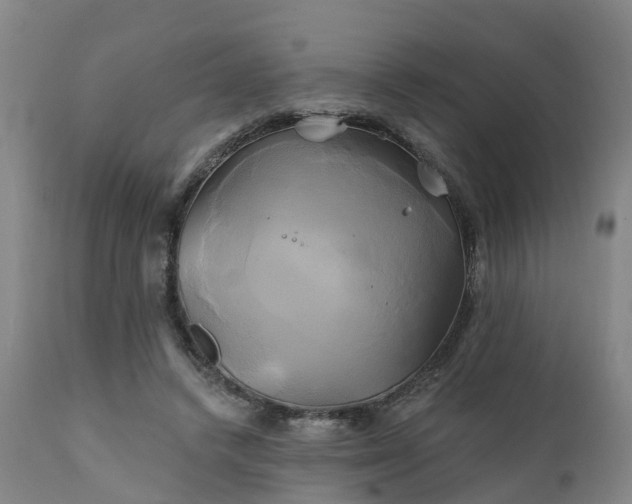 X0000111240448200907091403