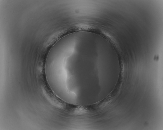 X0000111240451200907091403