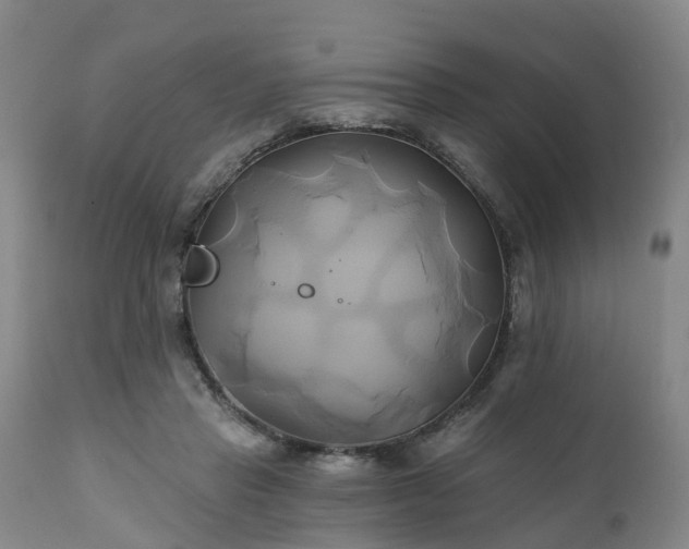 X0000111240453200907091403